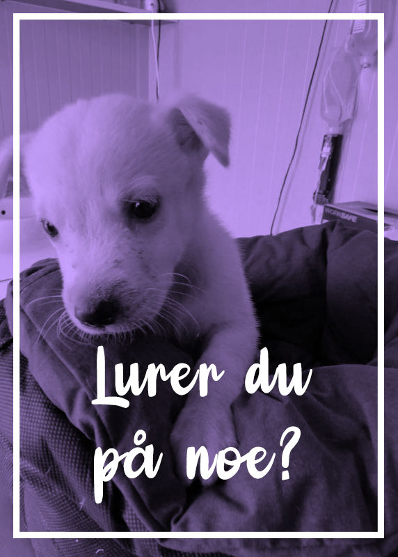 Lurer du på noe?